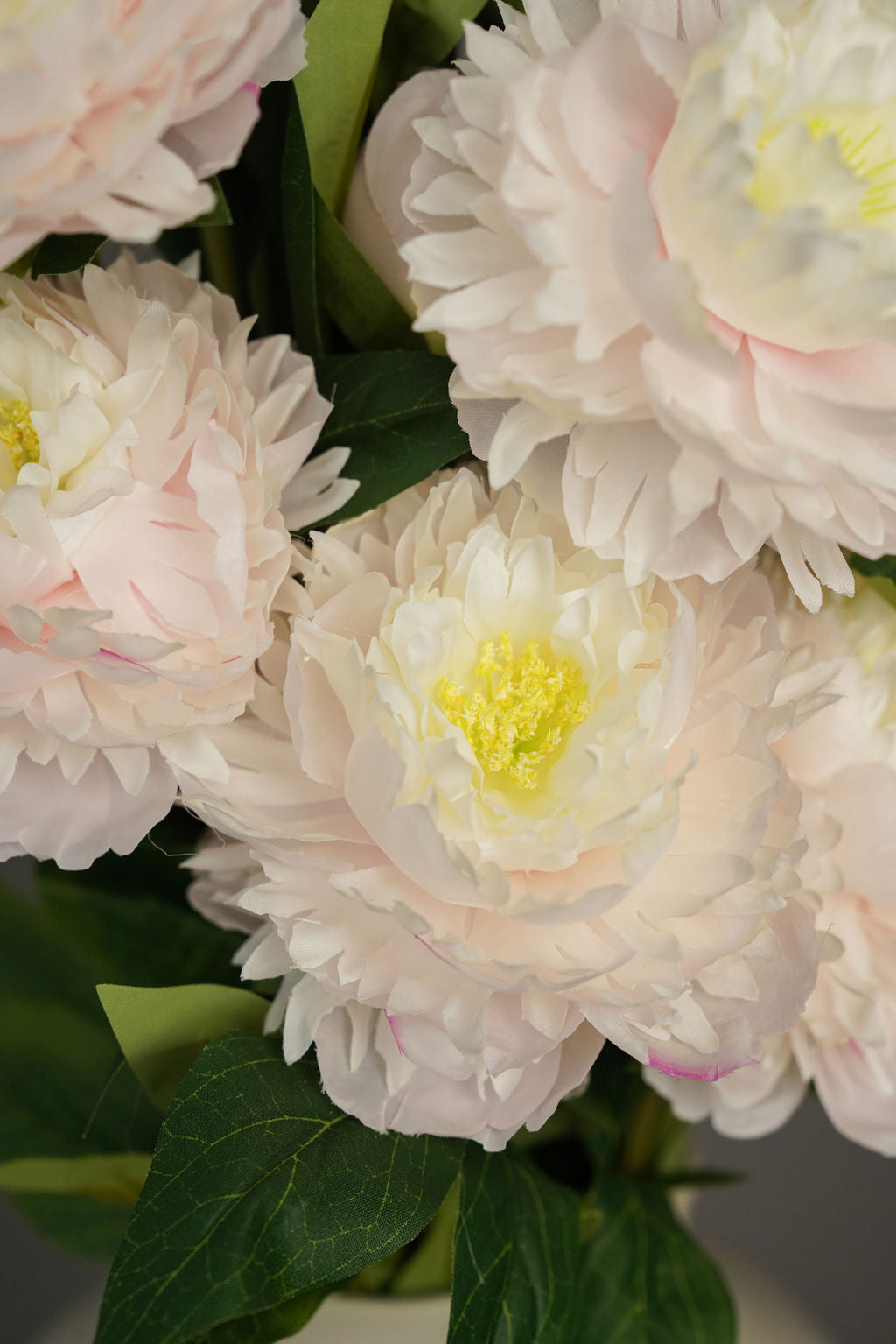 Peony Glow White