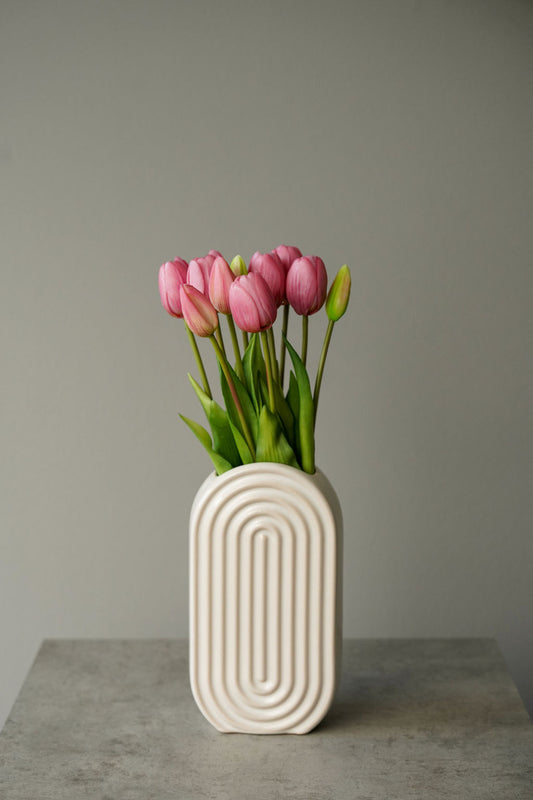 Tulip Euphoria
