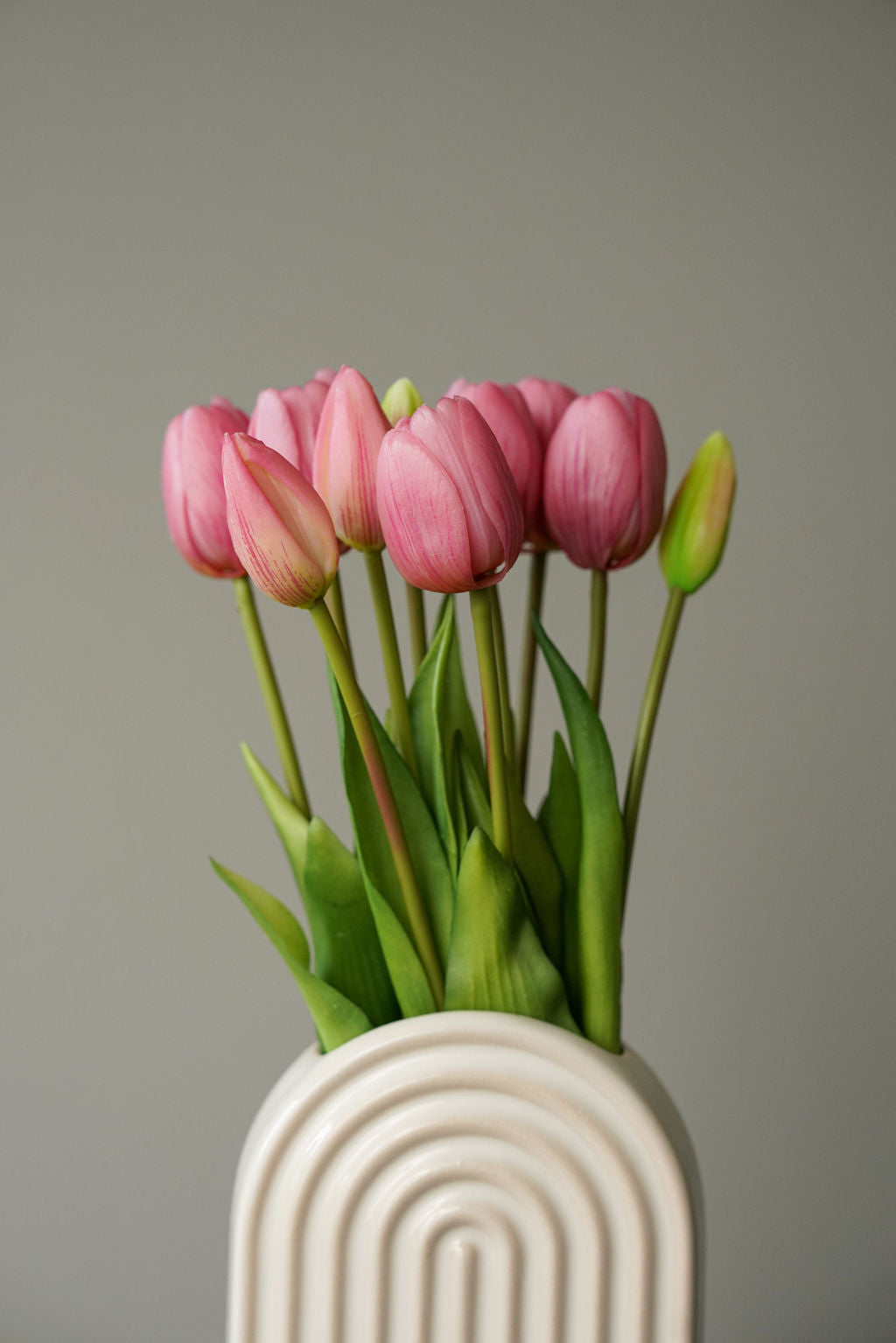 Tulip Euphoria