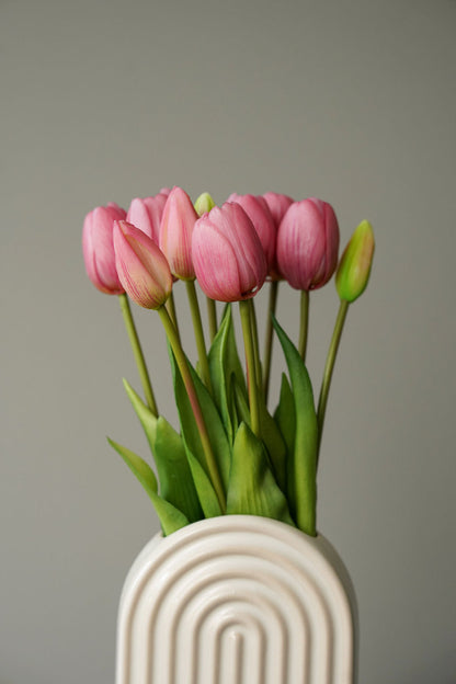 Tulip Euphoria