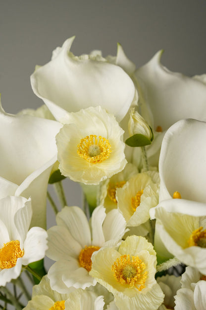Light of White