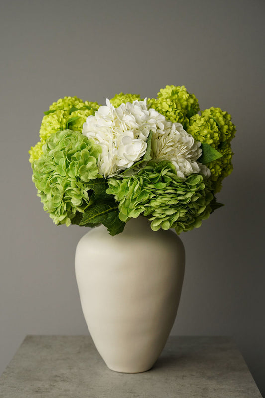 Hydrangea Harmony