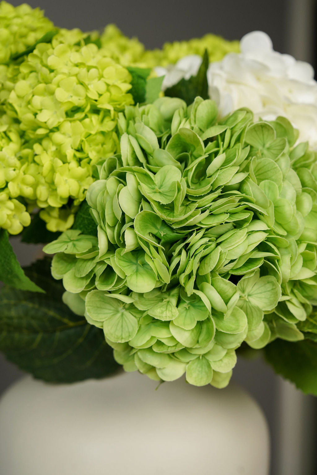 Hydrangea Harmony