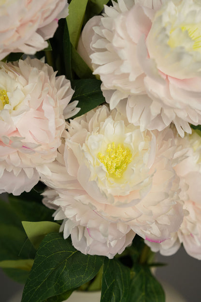 Peony Glow White