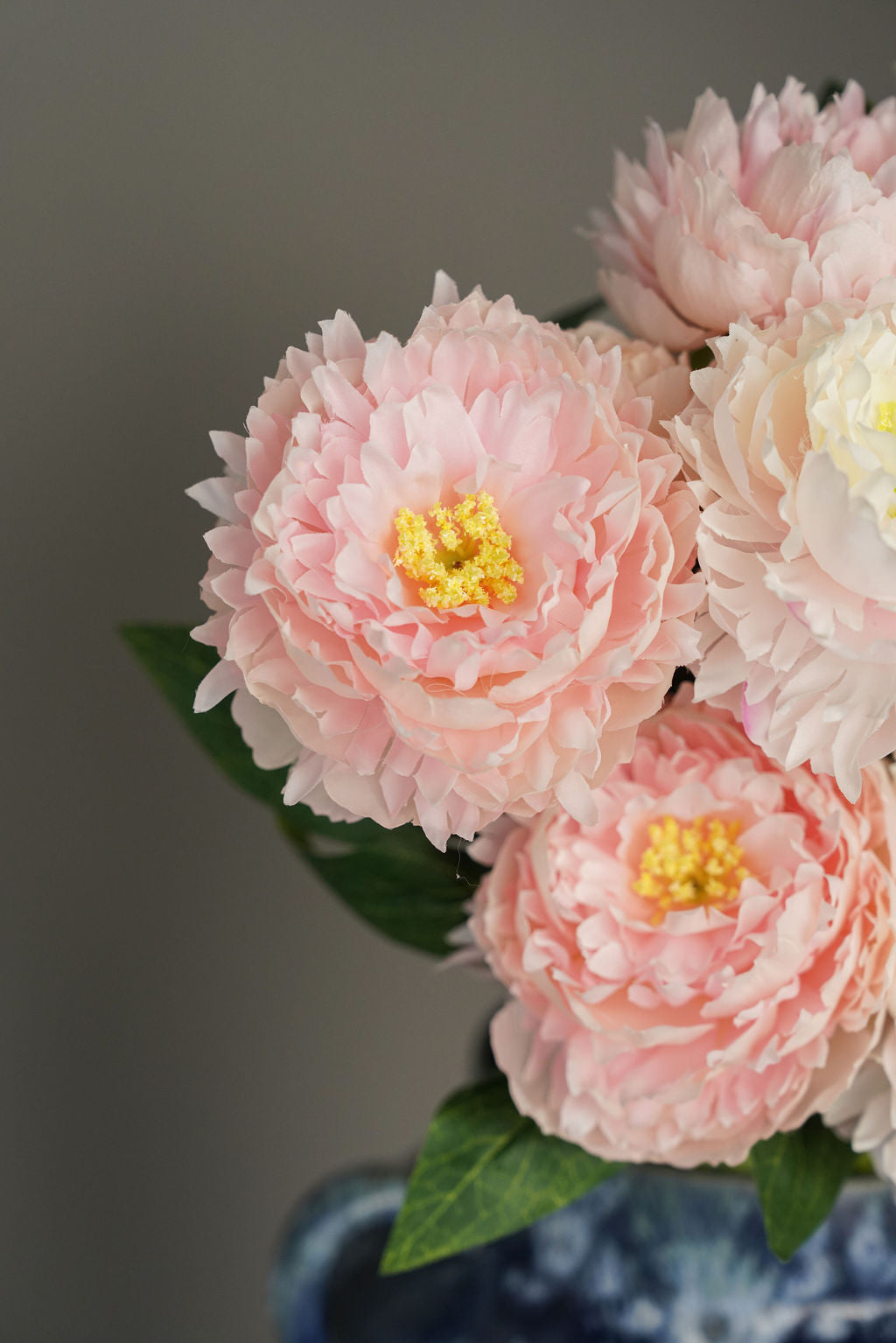 Peony Glow Pink & White