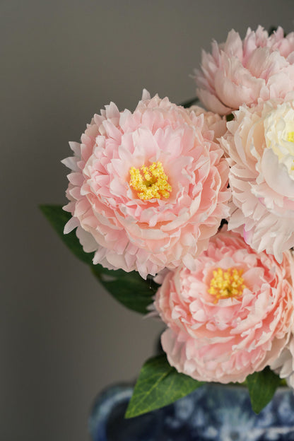 Peony Glow Pink & White