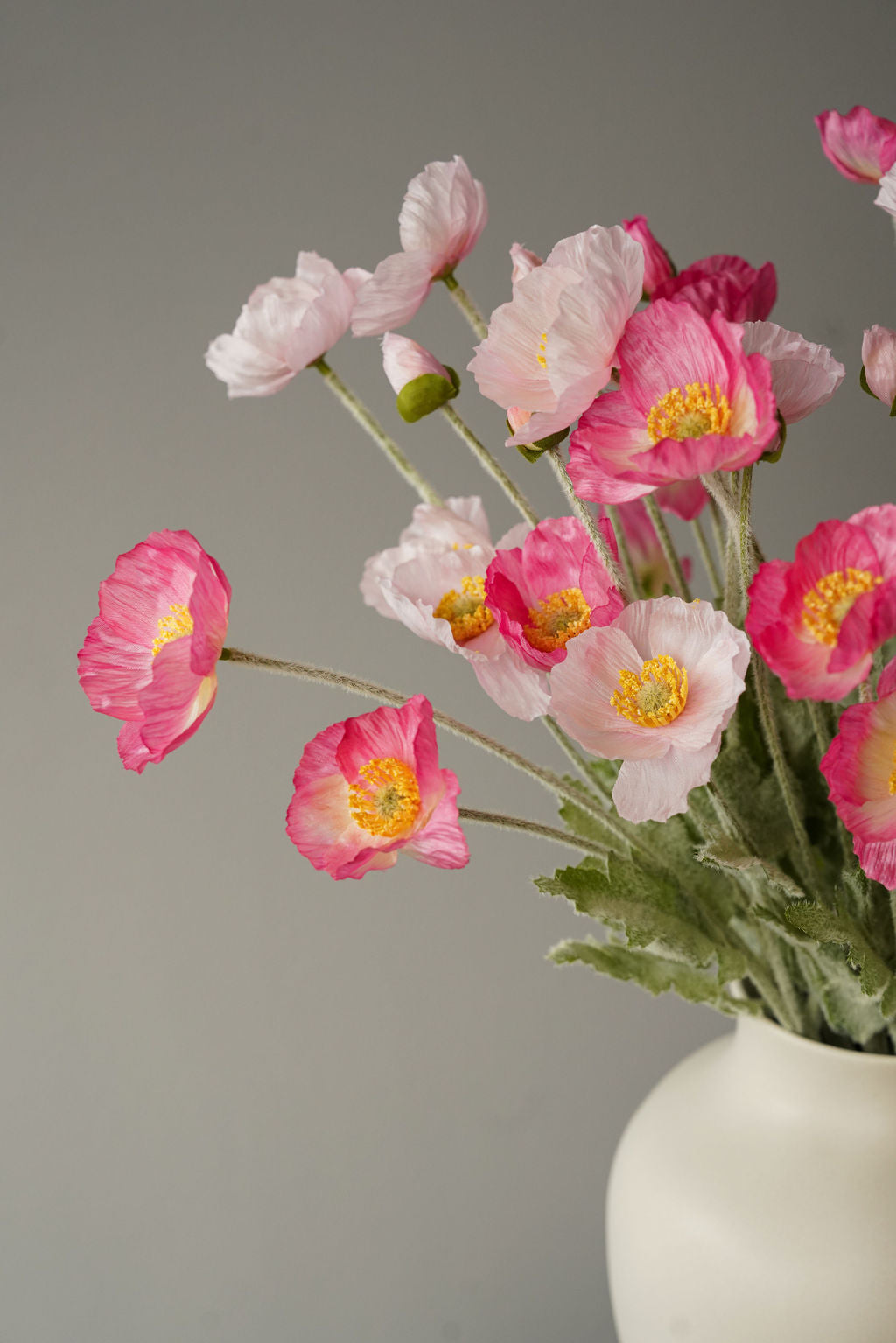 Pink Allure