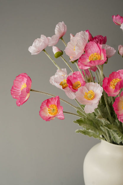 Pink Allure